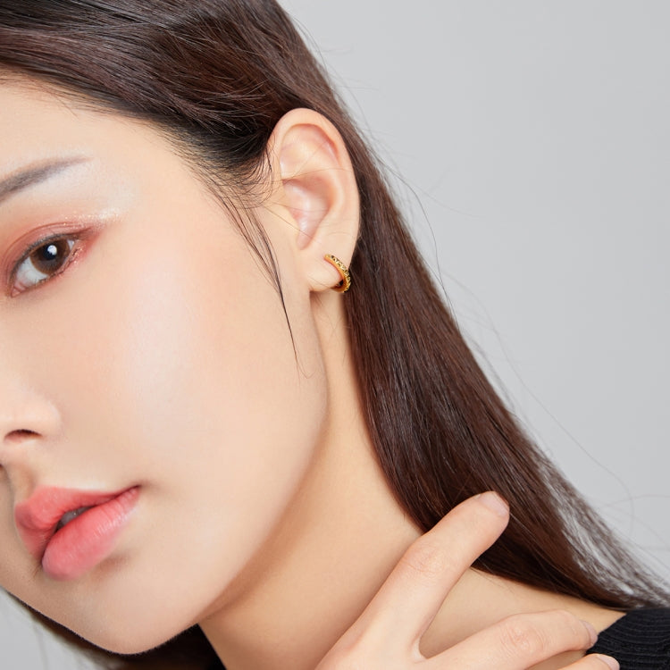 S925 Sterling Silver Golden Gearwheel Women Earrings