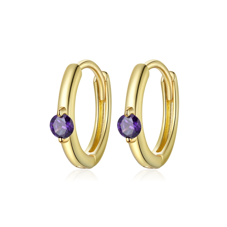 S925 Sterling Silver Silver Fashion Zircon Ear Buckle Women Earrings