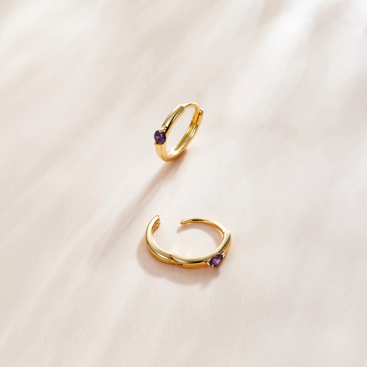 S925 Sterling Silver Silver Fashion Zircon Ear Buckle Women Earrings