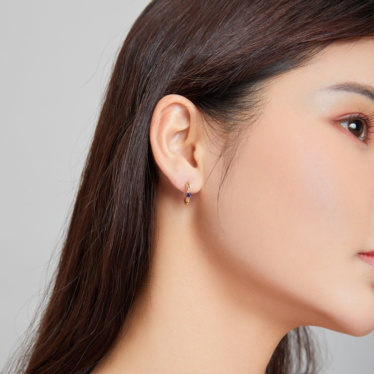 S925 Sterling Silver Silver Fashion Zircon Ear Buckle Women Earrings