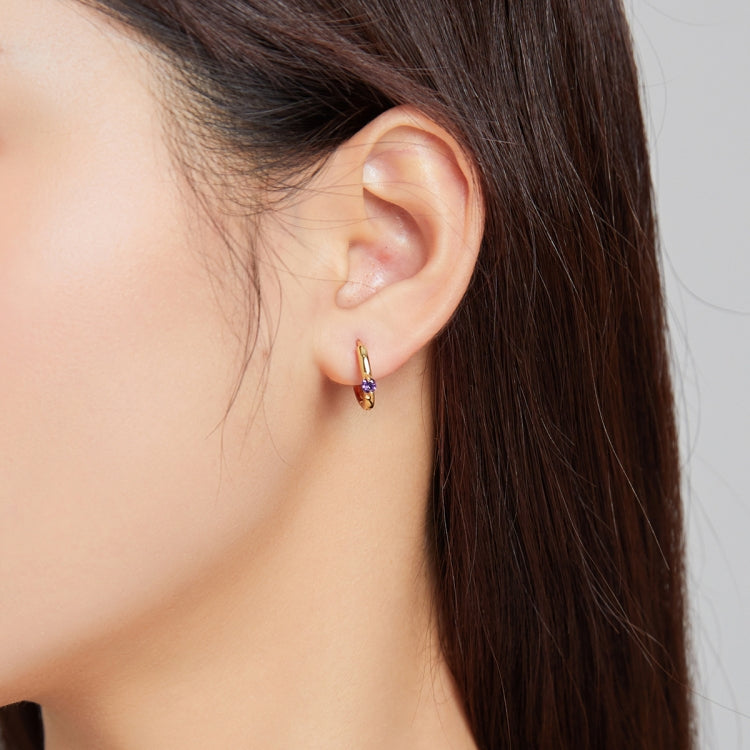 S925 Sterling Silver Silver Fashion Zircon Ear Buckle Women Earrings