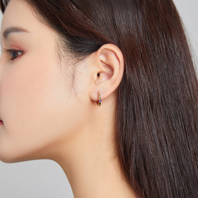 S925 Sterling Silver Silver Fashion Zircon Ear Buckle Women Earrings