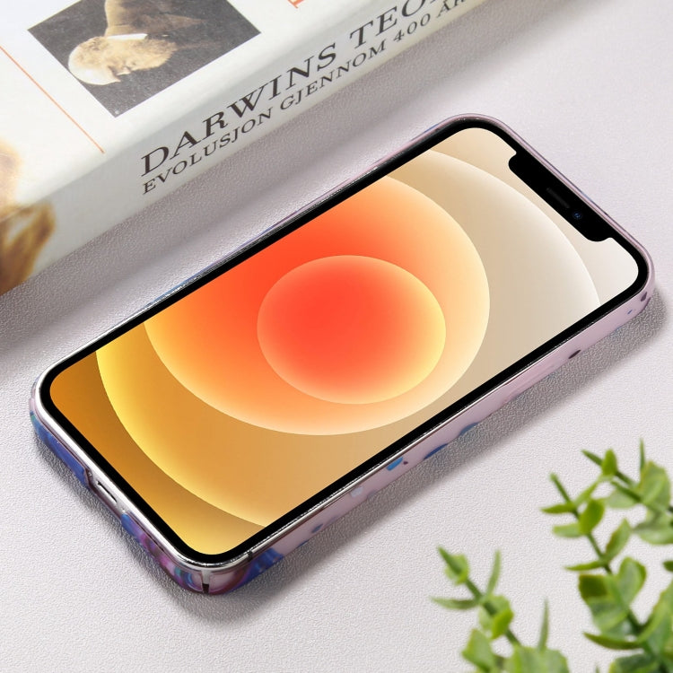 For iPhone 12 Shockproof Painted PC Protective Case