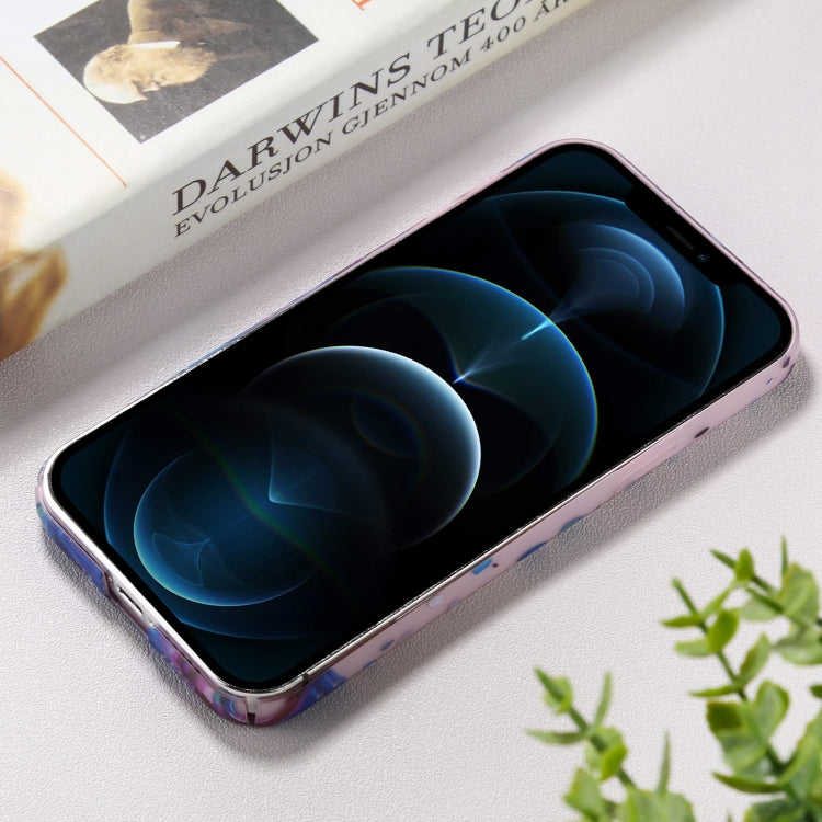 For iPhone 12 Pro Max Shockproof Painted PC Protective Case
