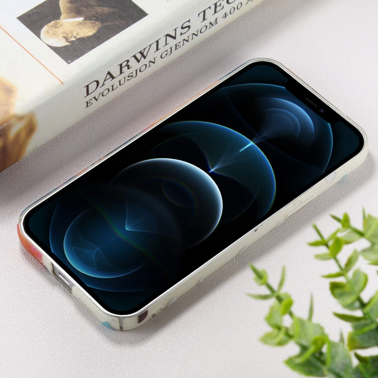 For iPhone 12 Pro Max Shockproof Painted PC Protective Case