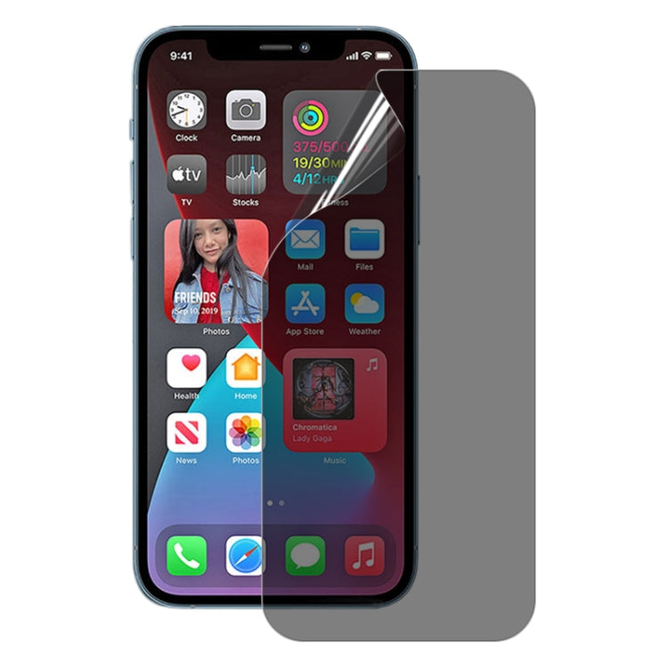 For iPhone 12 Pro Max 25pcs 0.1mm 2.5D Full Cover Anti-spy Screen Protector Explosion-proof Hydrogel Film