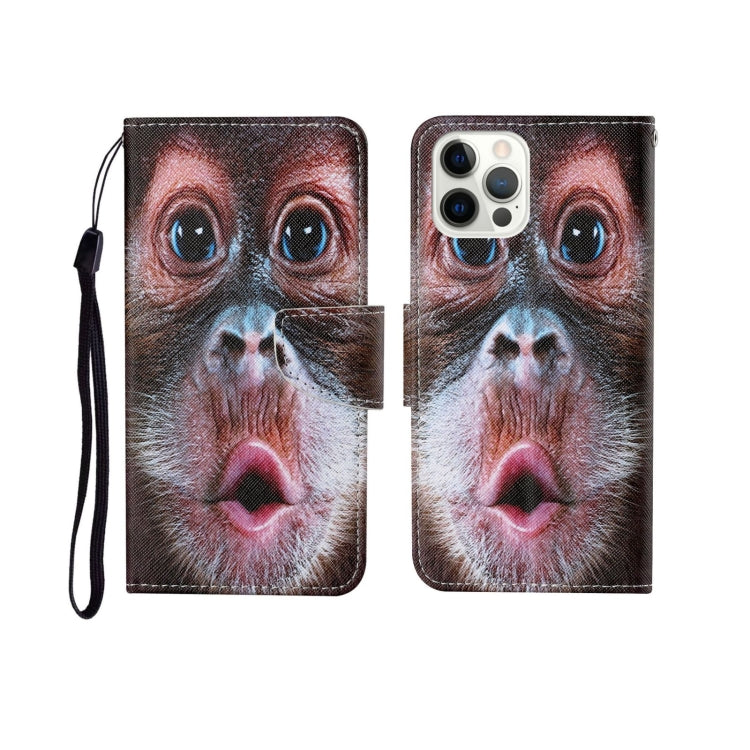For iPhone 12/12 Pro Painted Pattern Horizontal Flip Leathe Case