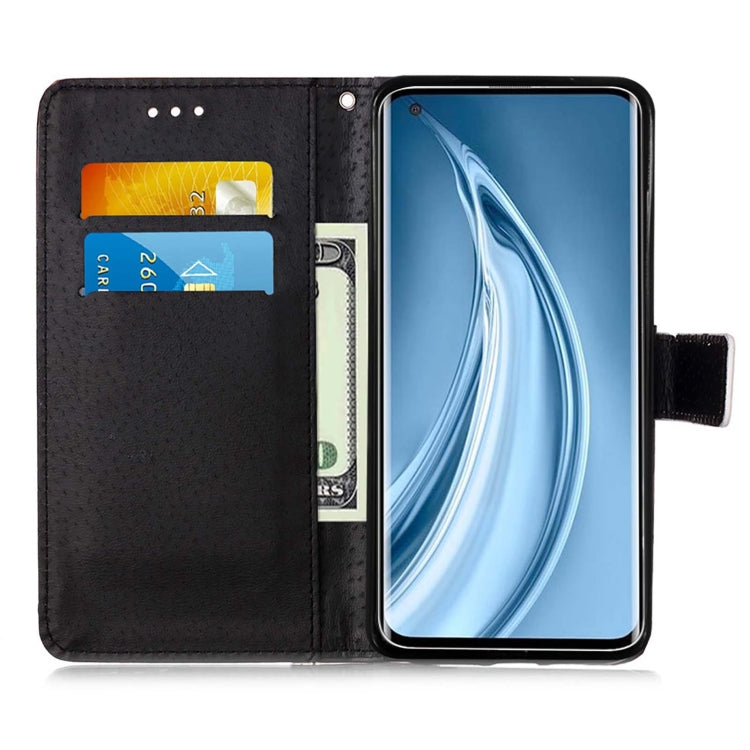 For Xiaomi Mi 10S Colored Drawing Pattern Plain Weave Horizontal Flip Leather Case with Holder & Card Slot & Wallet & Lanyard