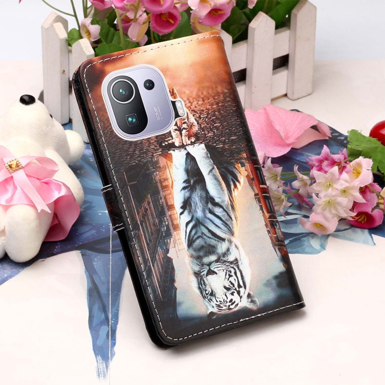 For Xiaomi Mi 11 Pro Colored Drawing Pattern Plain Weave Horizontal Flip Leather Case with Holder & Card Slot & Wallet & Lanyard