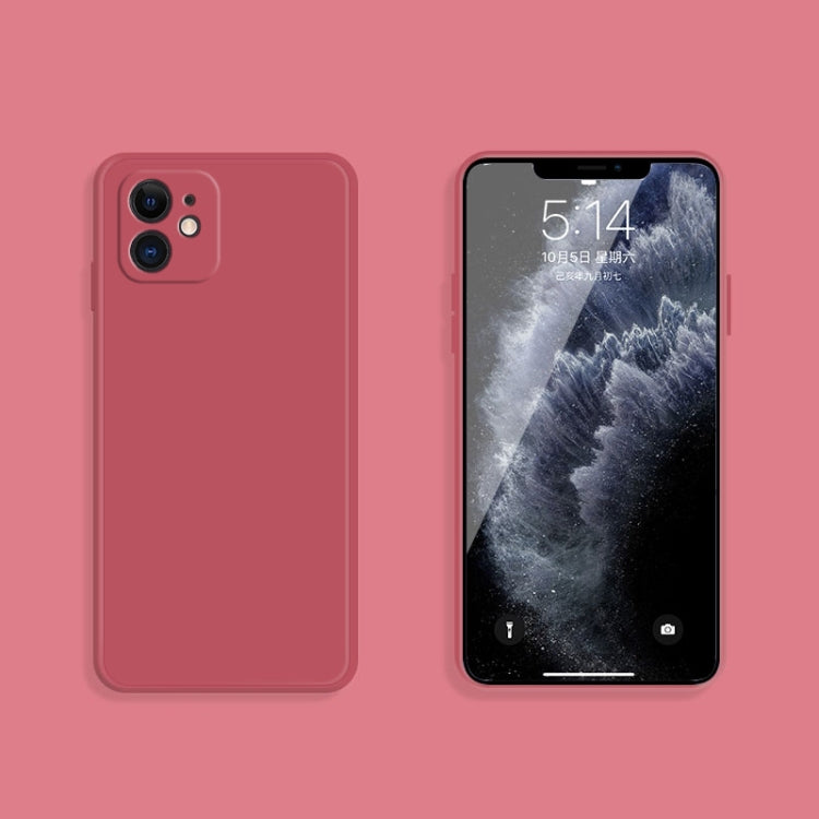 For iPhone 11 Solid Color Imitation Liquid Silicone Straight Edge Dropproof Full Coverage Protective Case