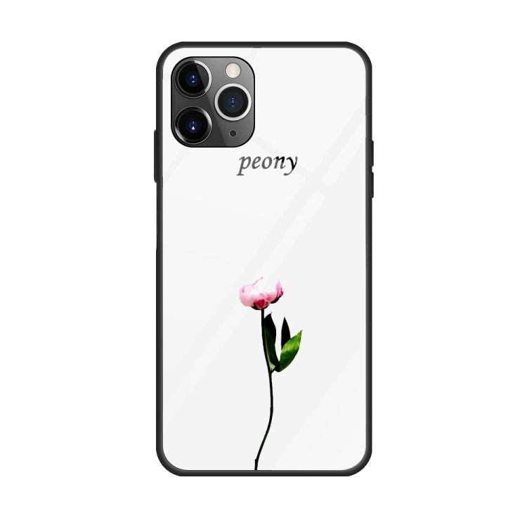 For iPhone 11 Colorful Painted Glass Case