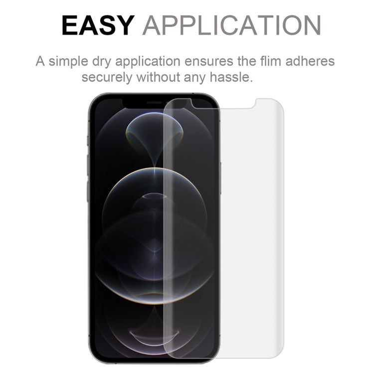 For iPhone 12 / 12 Pro 2pcs 3D Curved Silk-screen PET Full Coverage Protective Film(Transparent)