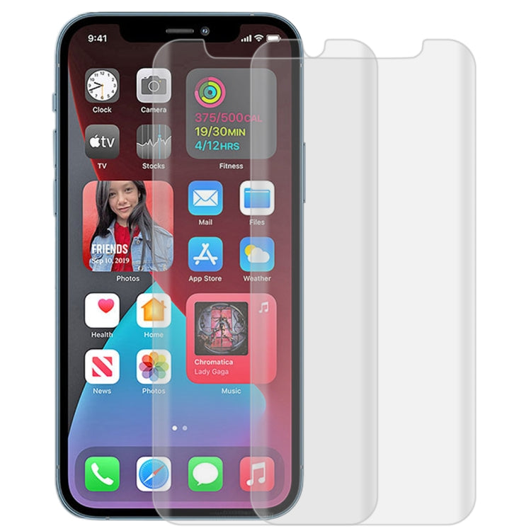 For iPhone 12 Pro Max 2pcs 3D Curved Silk-screen PET Full Coverage Protective Film(Transparent)