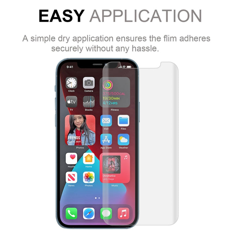 For iPhone 12 Pro Max 2pcs 3D Curved Silk-screen PET Full Coverage Protective Film(Transparent)