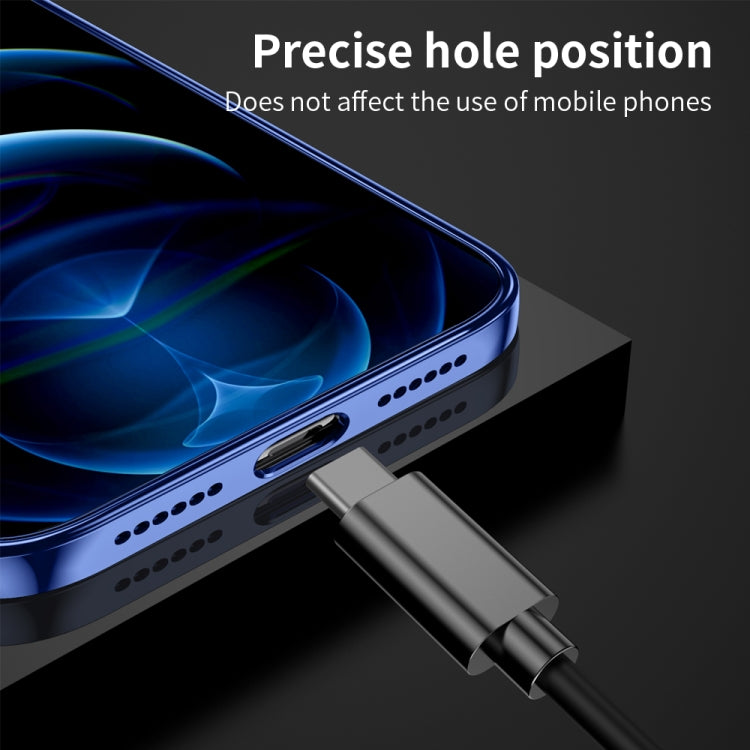 For iPhone 12 Pro Max Ultra-thin Electroplating Dandelion Pattern Protective Case