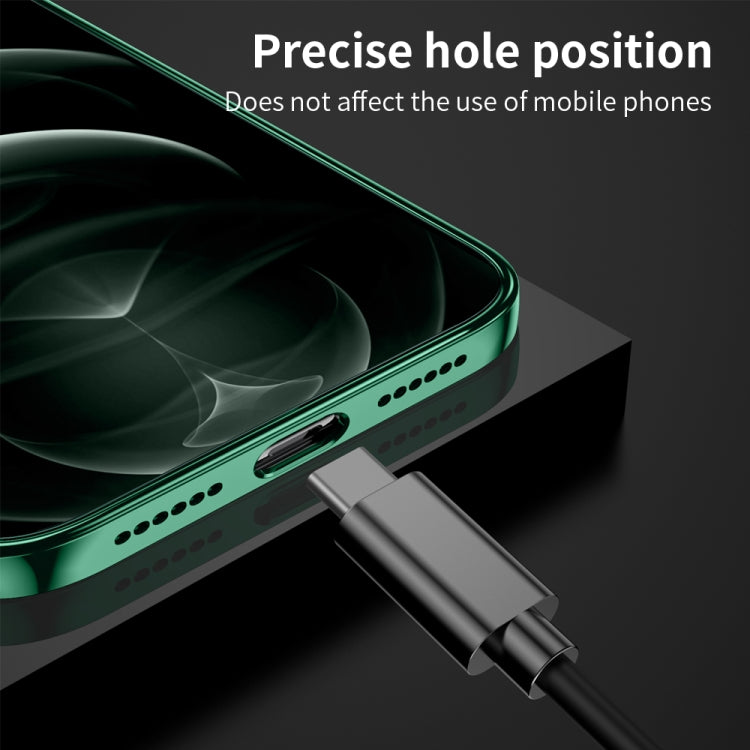 For iPhone 12 Pro Max Ultra-thin Electroplating Dandelion Pattern Protective Case
