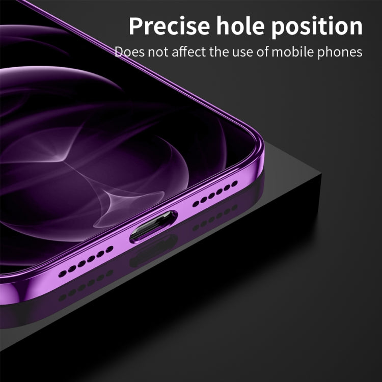 For iPhone 12 Ultra-thin Electroplating Dandelion Pattern Protective Case