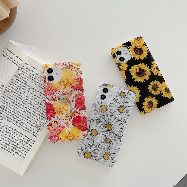 For iPhone 12 / 12 Pro Shockproof Square Protective Case