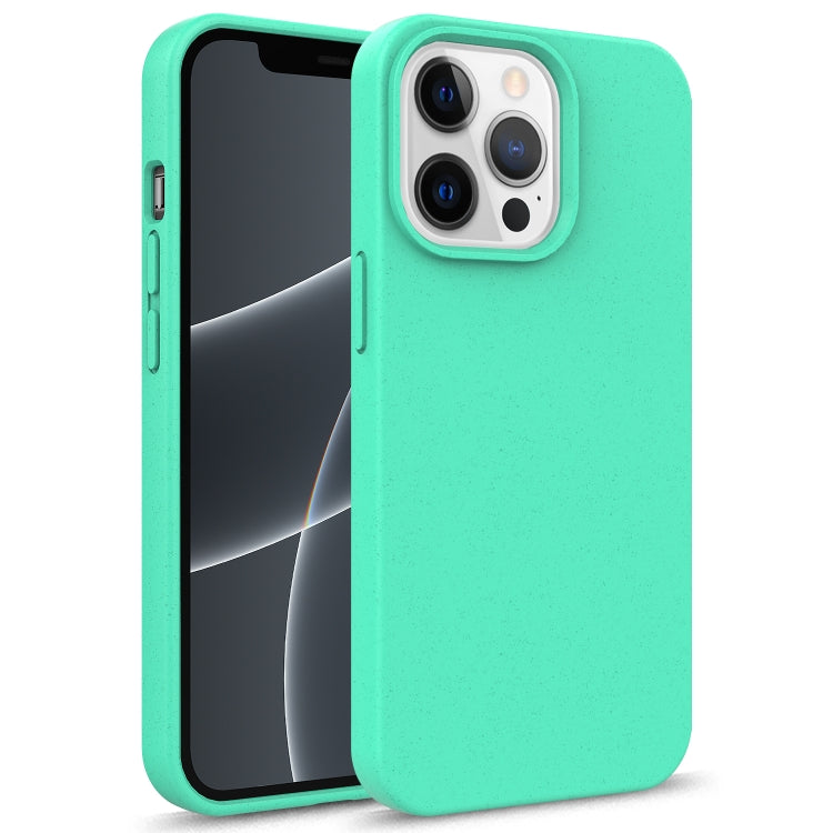 For iPhone 13 Starry Series Shockproof Straw Material + TPU Protective Case