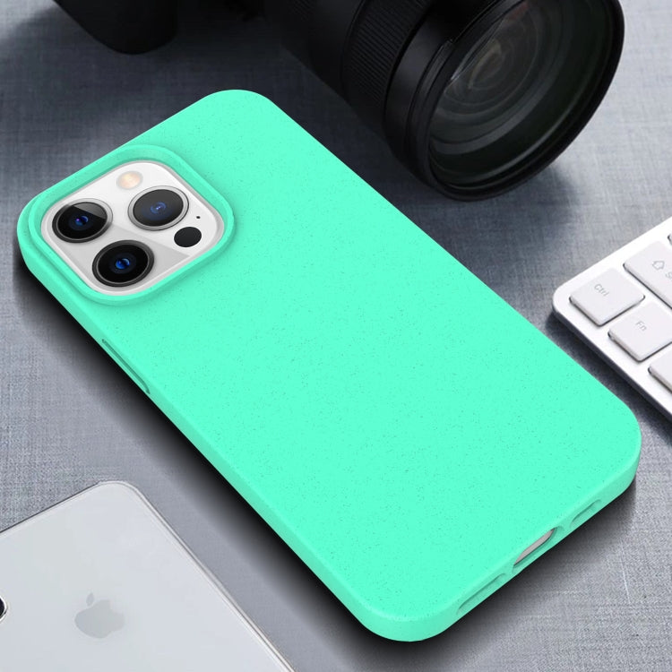 For iPhone 13 Starry Series Shockproof Straw Material + TPU Protective Case
