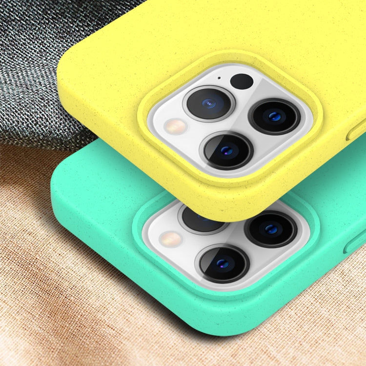 For iPhone 13 Starry Series Shockproof Straw Material + TPU Protective Case