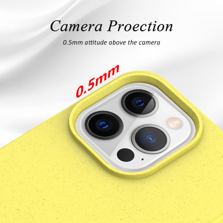 For iPhone 13 Starry Series Shockproof Straw Material + TPU Protective Case