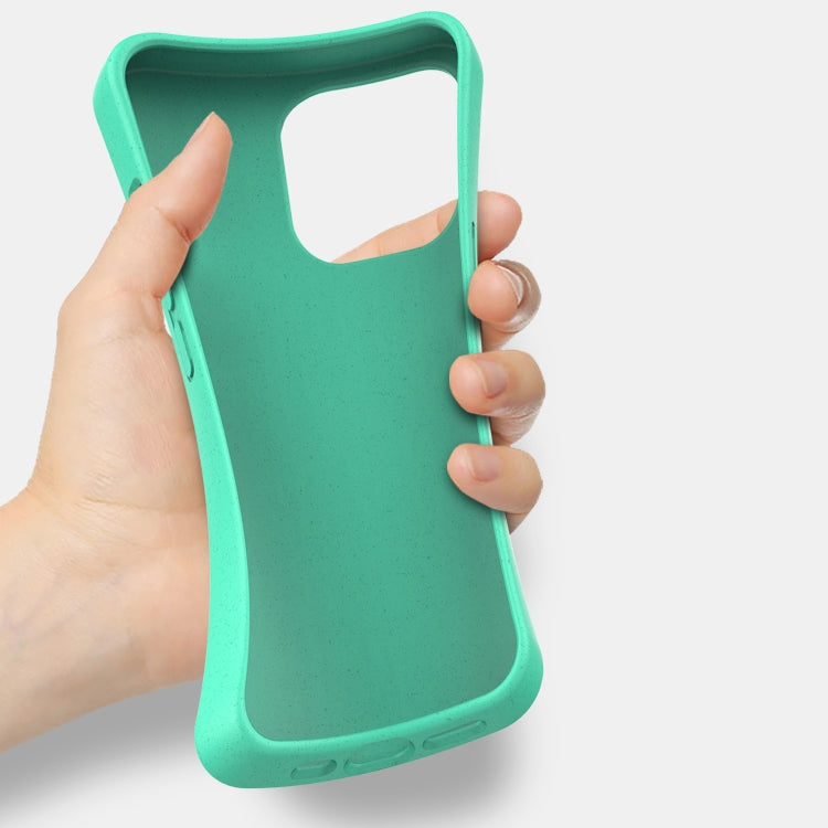 For iPhone 13 Pro Max Starry Series Shockproof Straw Material + TPU Protective Case