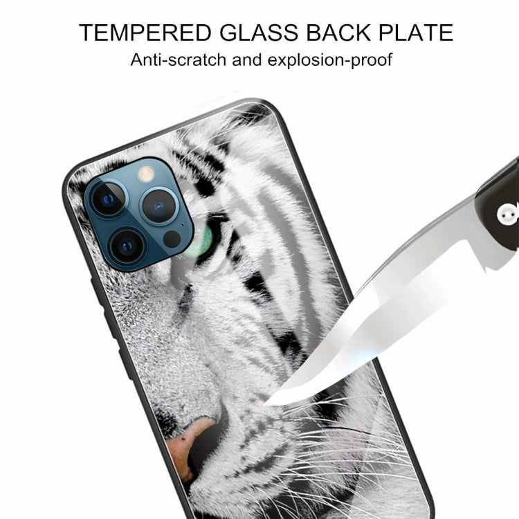 For iPhone 13 Pro Tempered Glass + TPU Border Protective Case