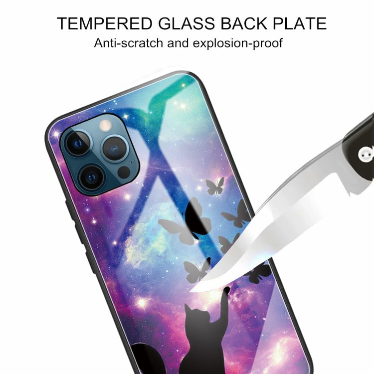 For iPhone 13 Pro Tempered Glass + TPU Border Protective Case