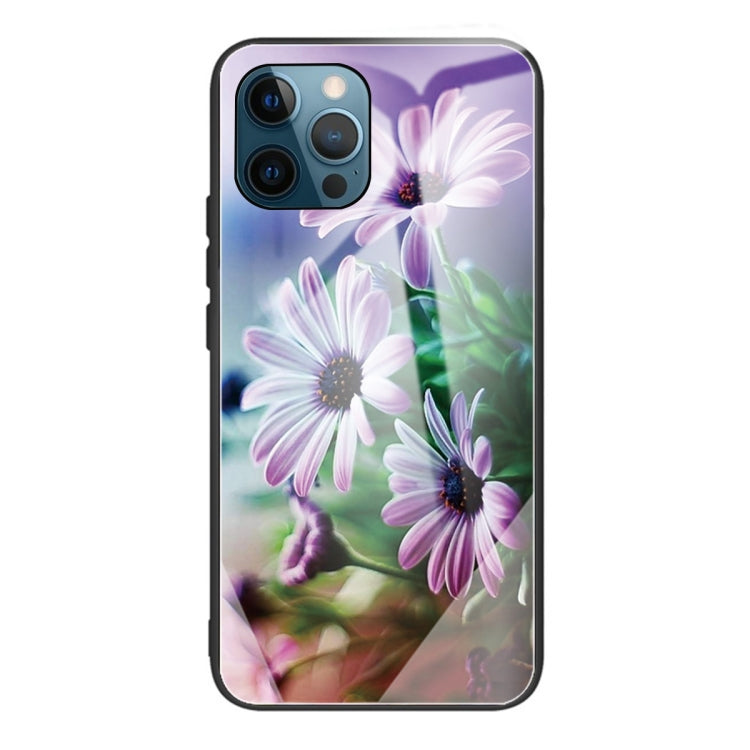 For iPhone 13 Pro Tempered Glass + TPU Border Protective Case