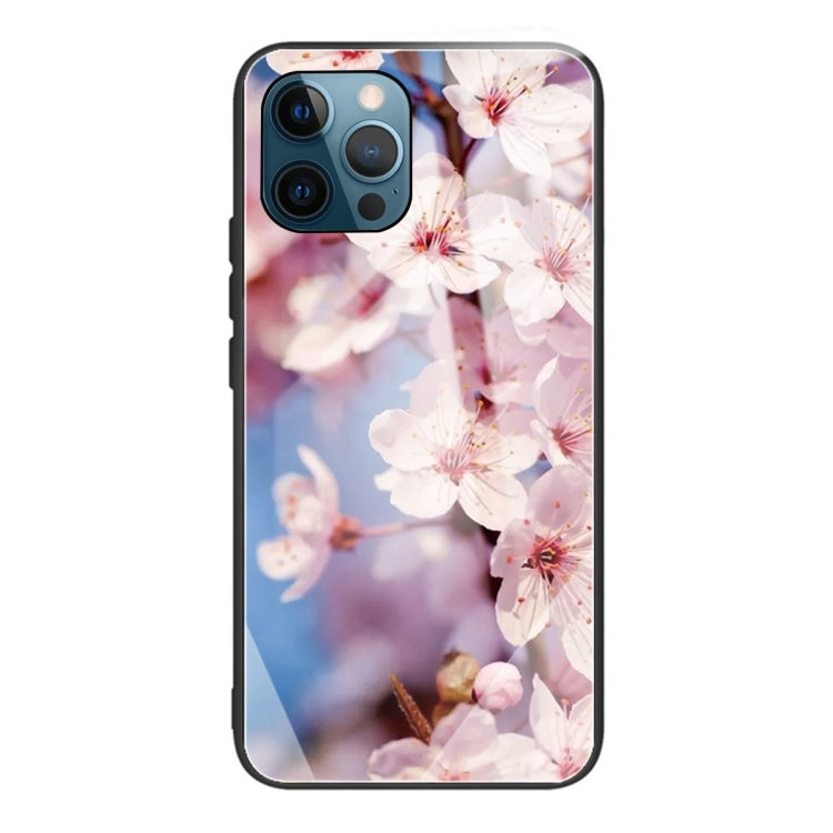 For iPhone 13 Pro Tempered Glass + TPU Border Protective Case