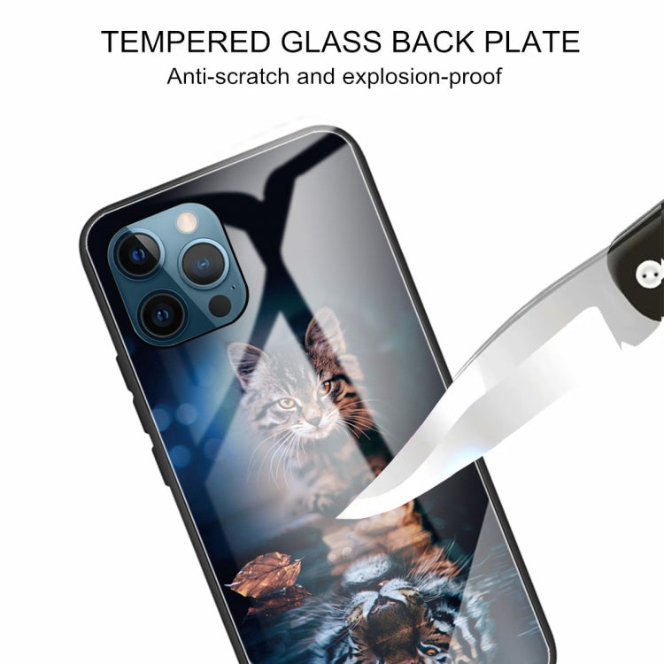 For iPhone 13 Pro Tempered Glass + TPU Border Protective Case