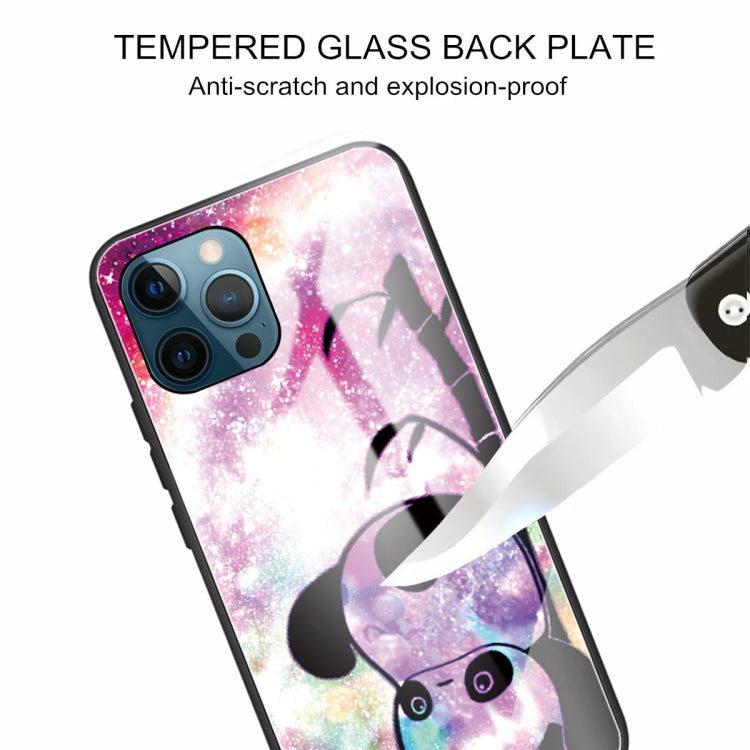 For iPhone 13 Pro Tempered Glass + TPU Border Protective Case