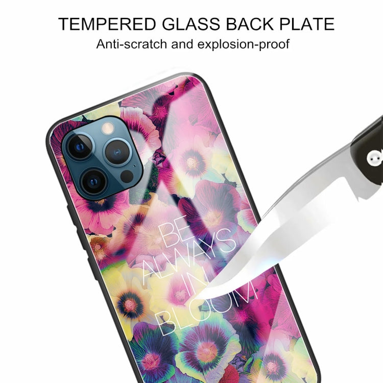 For iPhone 13 Pro Tempered Glass + TPU Border Protective Case