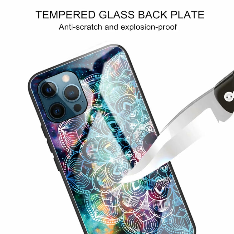 For iPhone 13 Pro Tempered Glass + TPU Border Protective Case