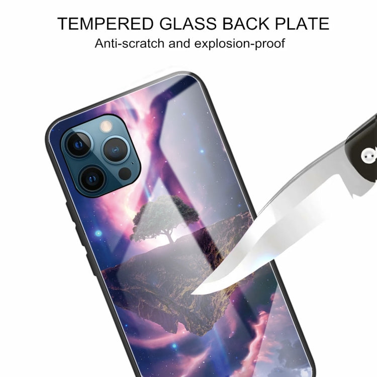 For iPhone 13 Pro Max Tempered Glass + TPU Border Protective Case