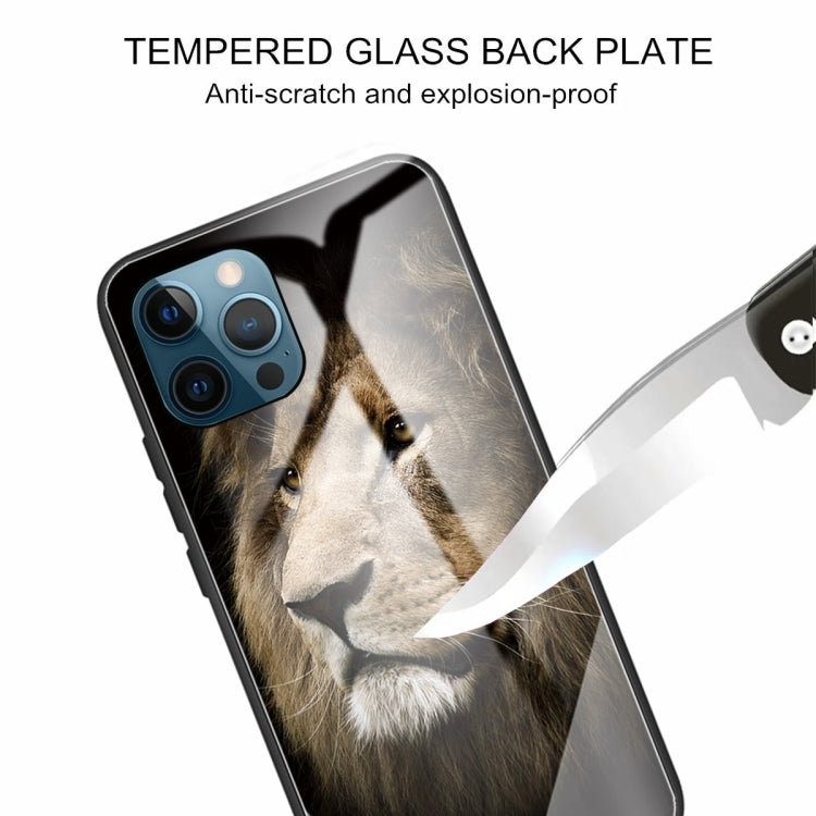 For iPhone 13 Pro Max Tempered Glass + TPU Border Protective Case