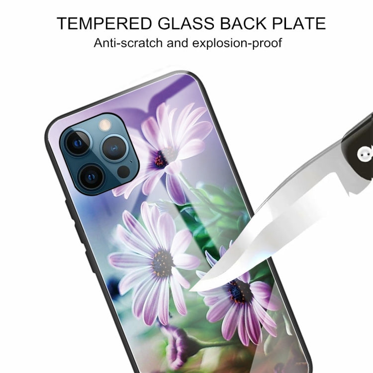 For iPhone 13 Pro Max Tempered Glass + TPU Border Protective Case