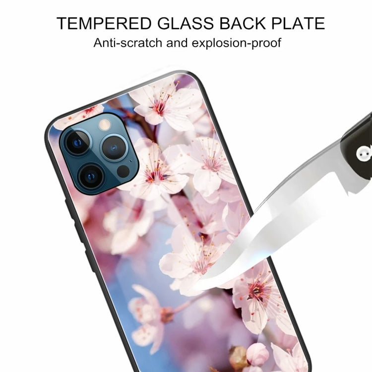 For iPhone 13 Pro Max Tempered Glass + TPU Border Protective Case