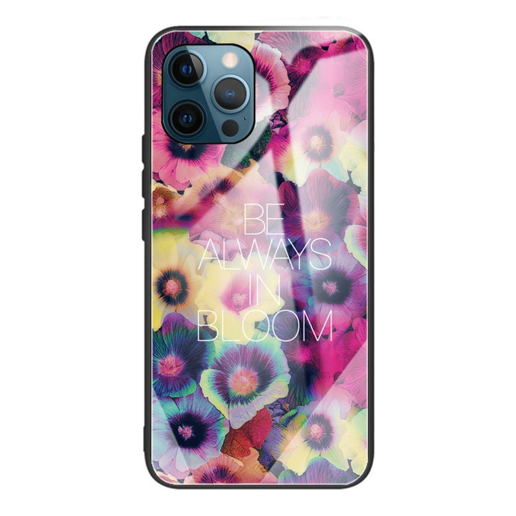 For iPhone 13 Pro Max Tempered Glass + TPU Border Protective Case