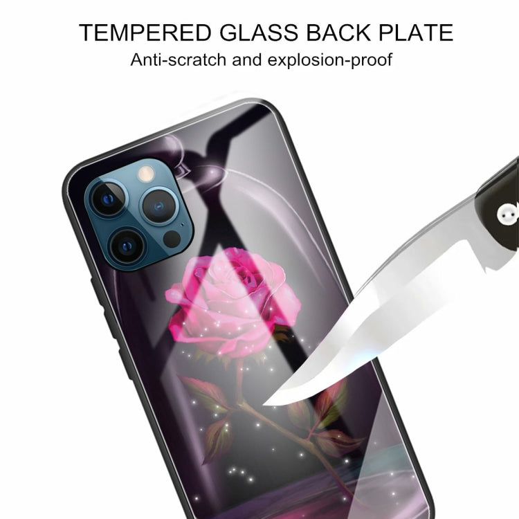 For iPhone 13 Pro Max Tempered Glass + TPU Border Protective Case