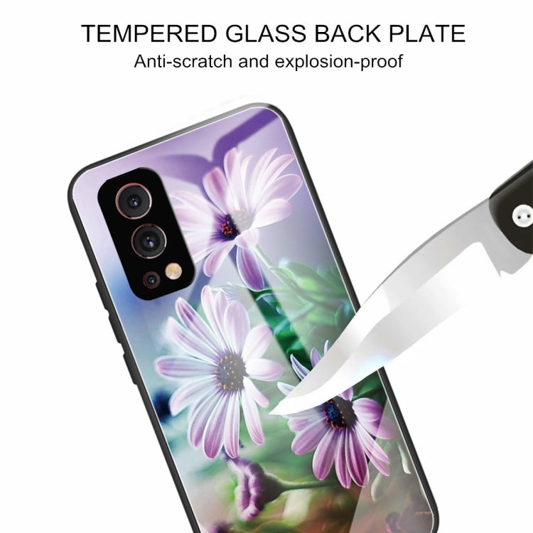Tempered Glass + TPU Border Protective Case For OnePlus Nord 2 5G