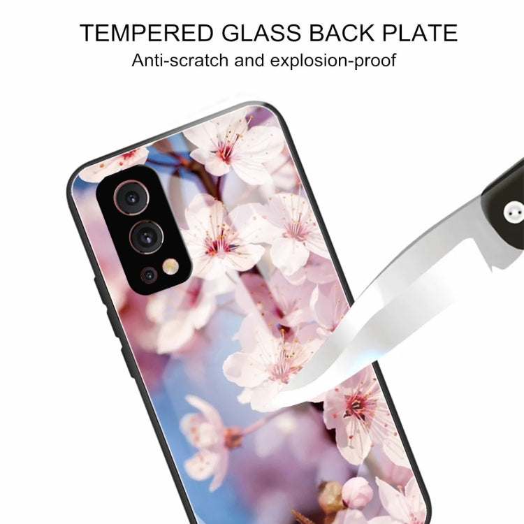 Tempered Glass + TPU Border Protective Case For OnePlus Nord 2 5G