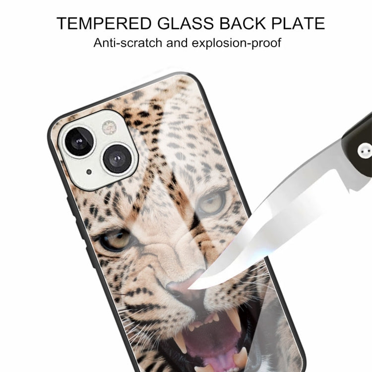 For iPhone 13 mini Colorful Painted Glass Shockproof Protective Case