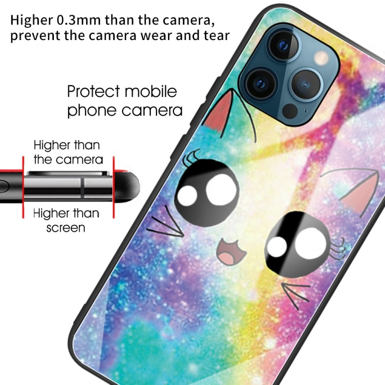 For iPhone 13 Pro Colorful Painted Glass Shockproof Protective Case