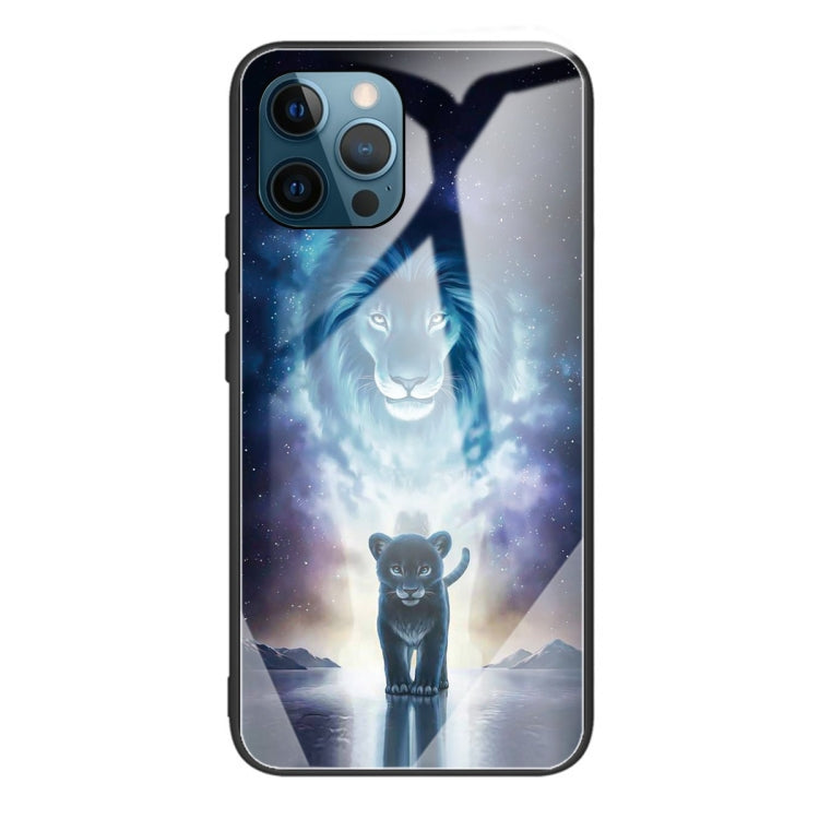 For iPhone 13 Pro Colorful Painted Glass Shockproof Protective Case