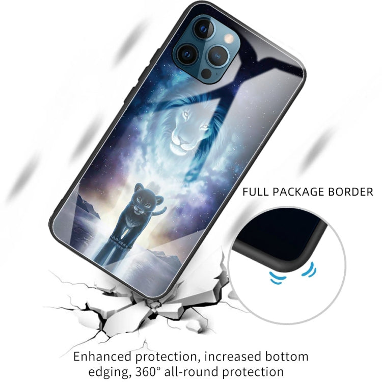 For iPhone 13 Pro Colorful Painted Glass Shockproof Protective Case