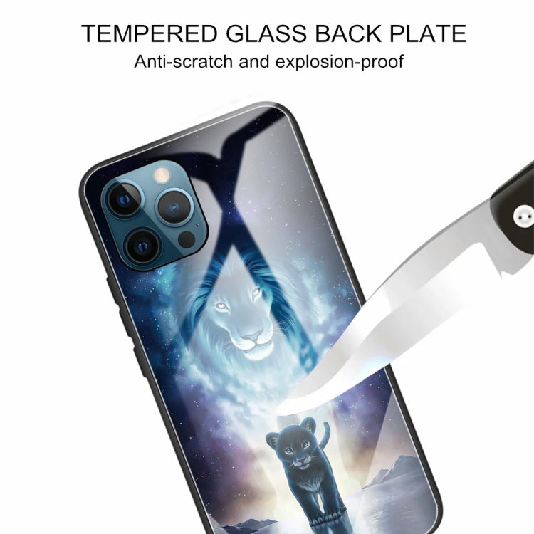 For iPhone 13 Pro Colorful Painted Glass Shockproof Protective Case