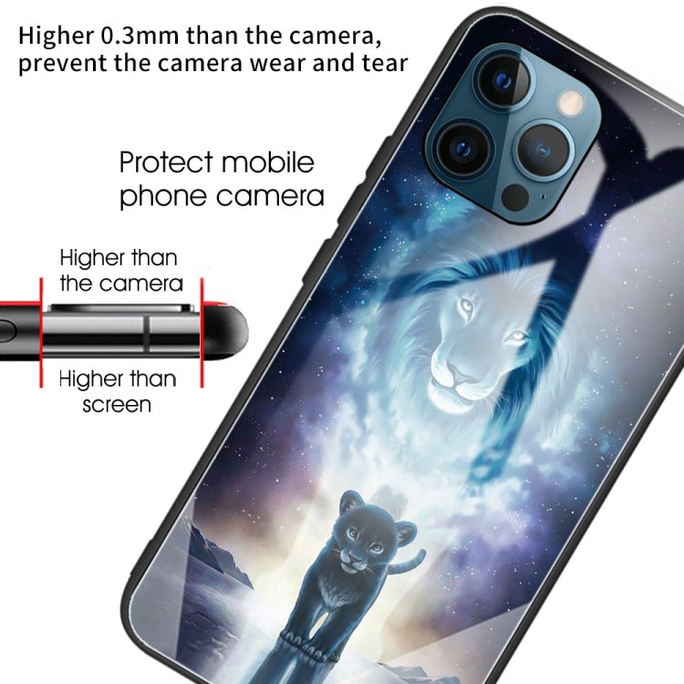 For iPhone 13 Pro Colorful Painted Glass Shockproof Protective Case