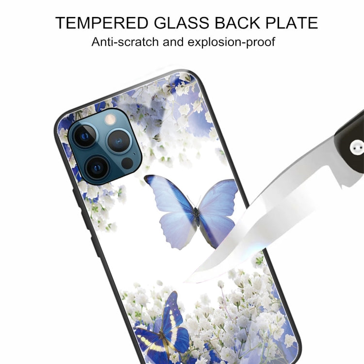 For iPhone 13 Pro Colorful Painted Glass Shockproof Protective Case